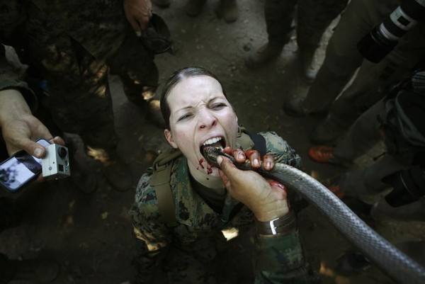 Một nữ quân nhân thuộc lực lượng thủy quân lục chiến Mỹ đang uống máu rắn hổ mang trong  huấn buổi luyện sinh tồn cùng với lực lượng thủy quân Thái Lan tại căn cứ tỉnh Chon Buri.